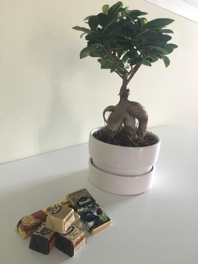 Pisztacia Apartman Daire Eğri Dış mekan fotoğraf